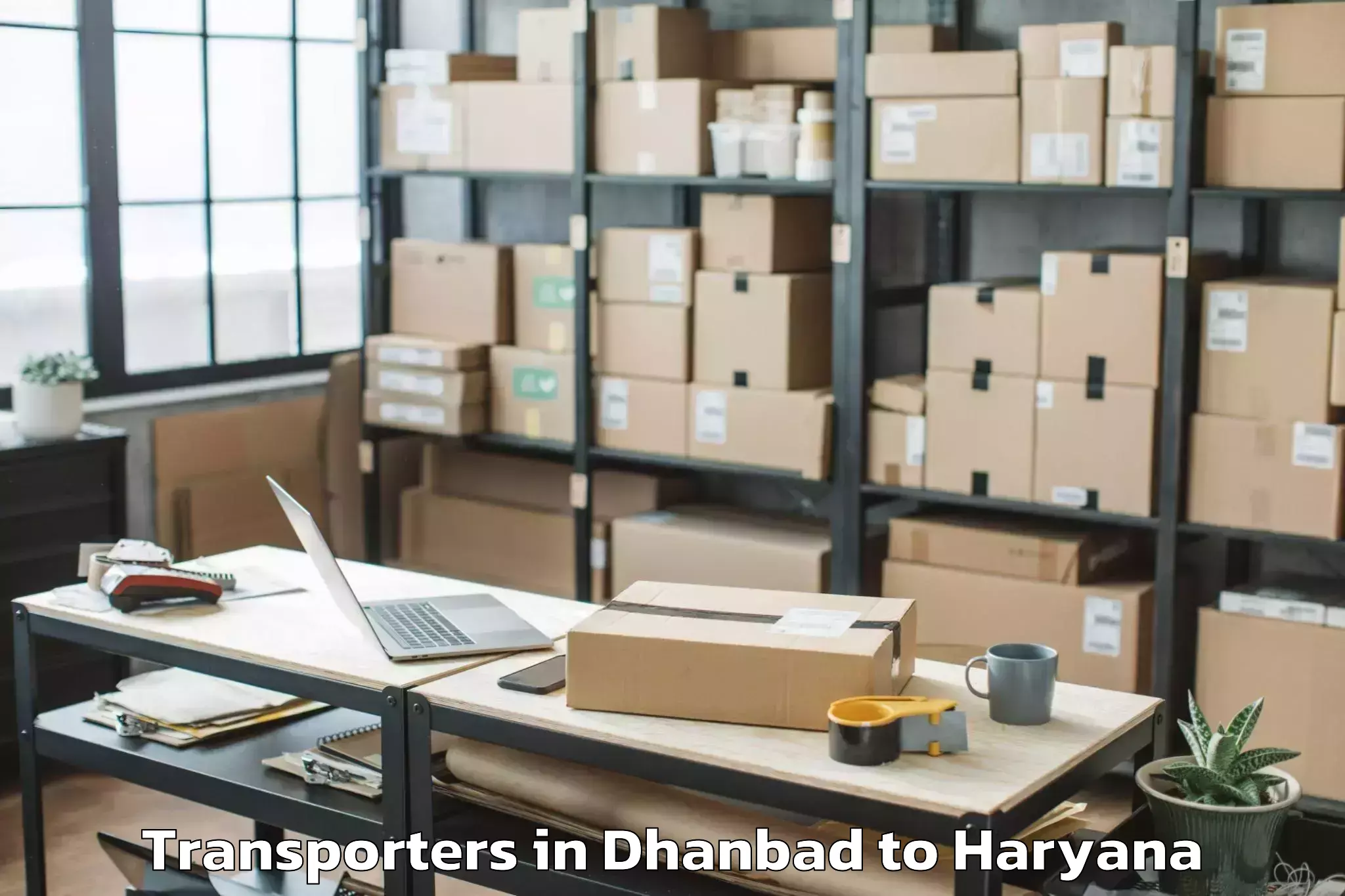 Top Dhanbad to Charkhi Dadri Transporters Available